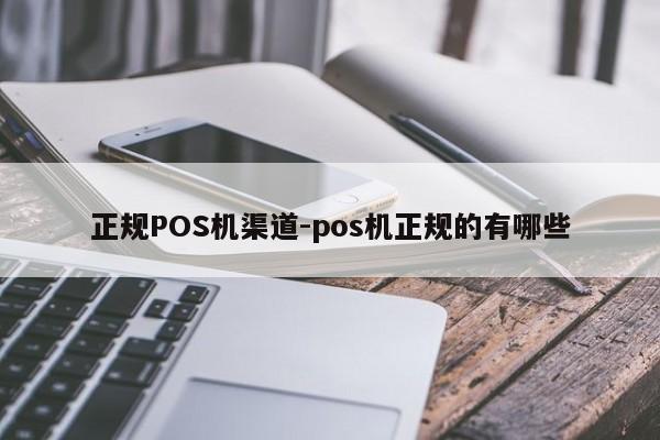 连云港正规POS机渠道-pos机正规的有哪些